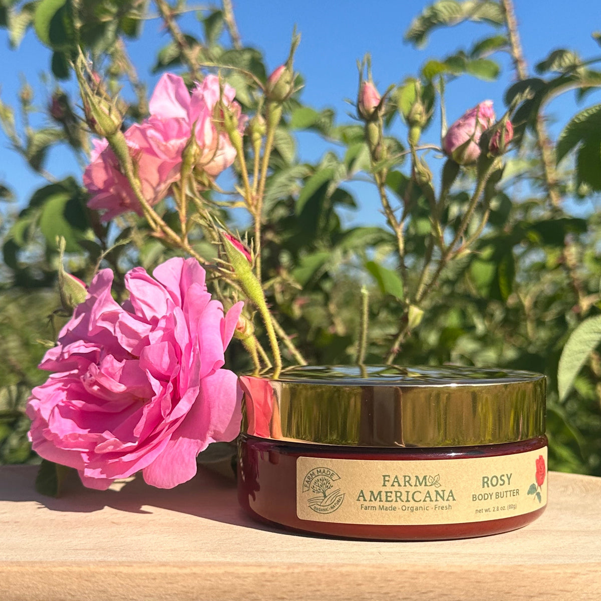 Rosy - Organic Farm Body Butter